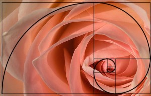 golden-spiral-applied-photography-21