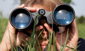 Looking through binoculars