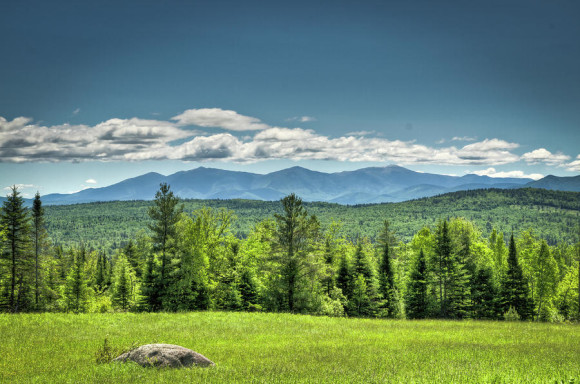 Vermont Summer